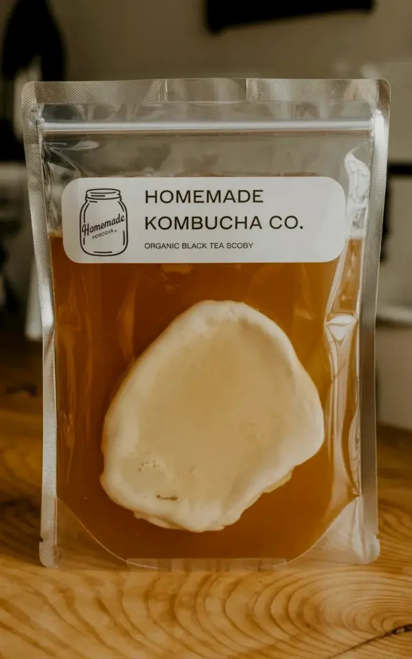 Organic Black Tea SCOBY Starter for Homemade Kombucha - Fall Brewing