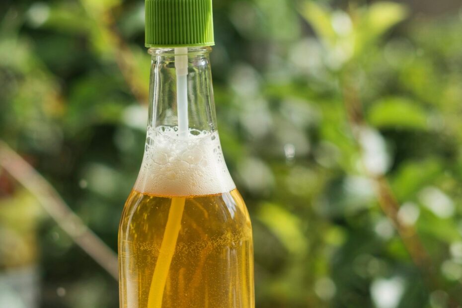 Over-Fermented Kombucha All-Purpose Cleaner | DIY Natural Home Cleaning Spray