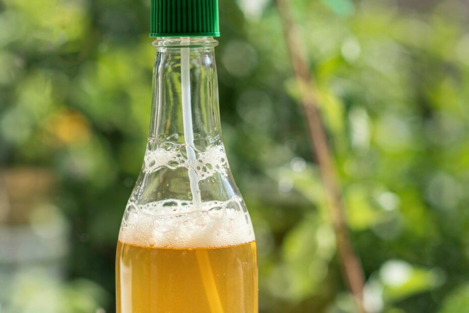 Over-Fermented Kombucha Uses | 10 Ways to Use It for Cleaning, Cooking & More | Fermentation Tips