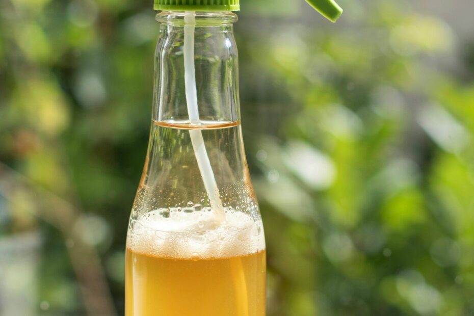Over-Fermented Kombucha Uses | 10 Practical Ways Including All-Purpose Cleaner | Homemade Fermentation Tips