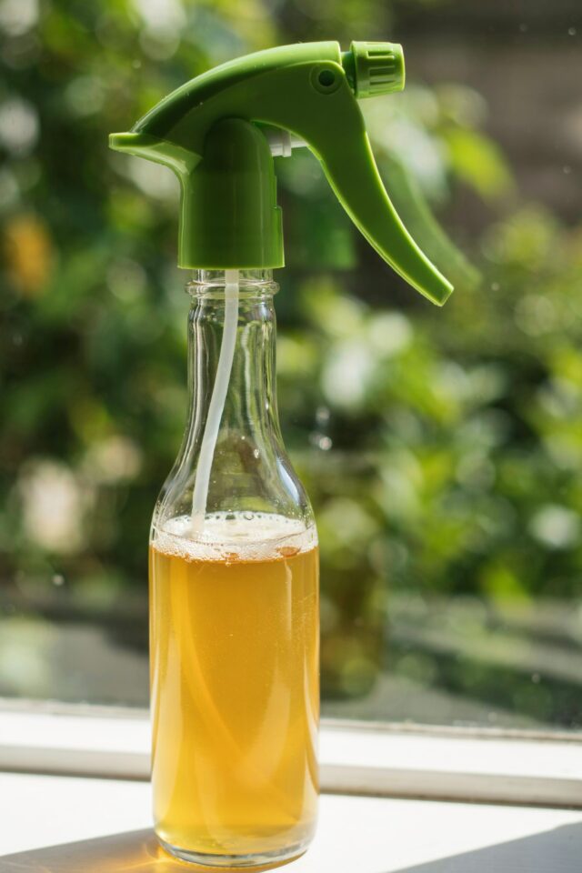Over-Fermented Kombucha Uses | Natural All-Purpose Cleaner Recipe | Home Cleaning Tips
