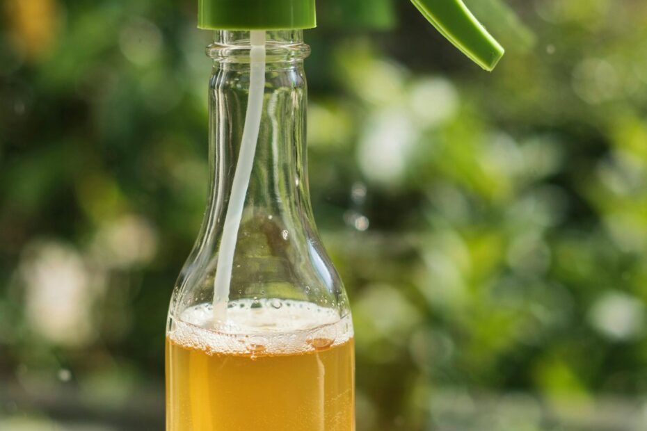Over-Fermented Kombucha Uses | Natural All-Purpose Cleaner Recipe | Home Cleaning Tips