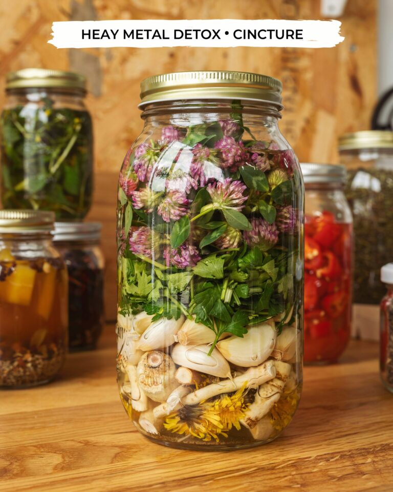 Fermentation Recipes | Easy Probiotic Foods for Gut Health | Beginner Ferments