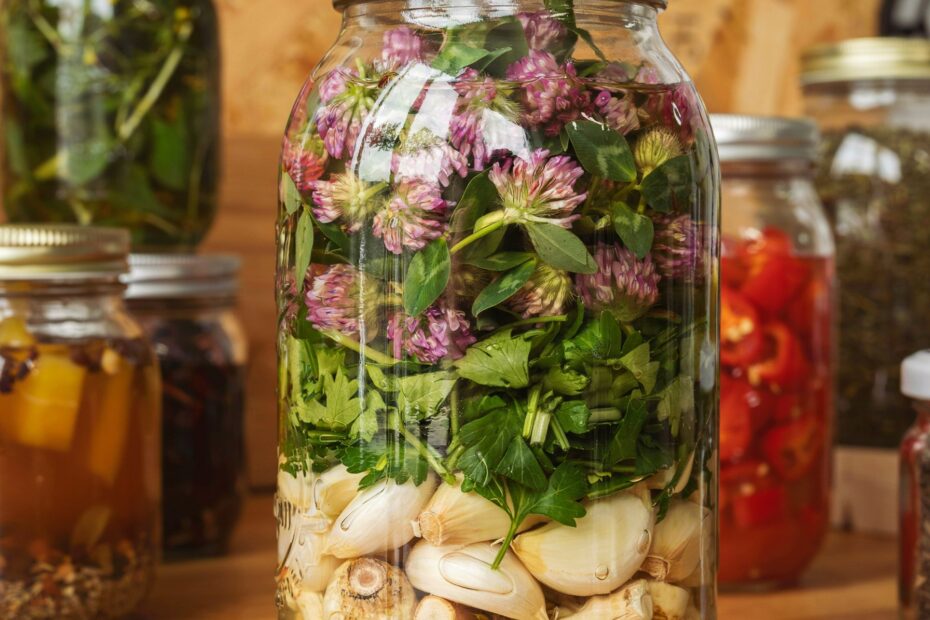 Fermentation Recipes | Easy Probiotic Foods for Gut Health | Beginner Ferments
