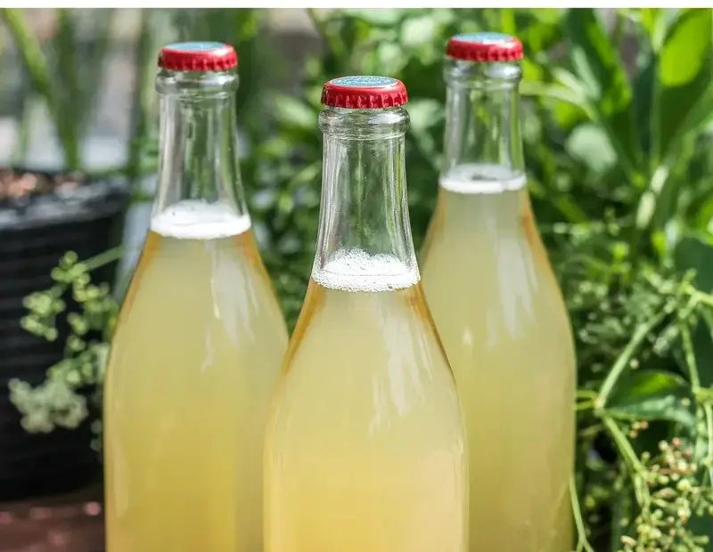 How to Make Elderflower Champagne - Cozy Garden Bottles on a Deck