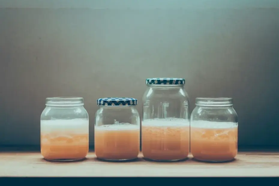 Homemade Apple Cider Vinegar: A Simple Fermentation Recipe with Apple Scraps