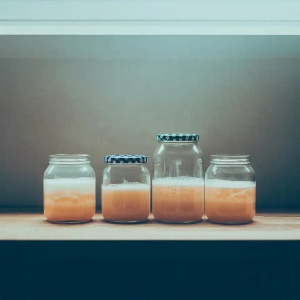 Homemade Apple Cider Vinegar: A Simple Fermentation Recipe with Apple Scraps